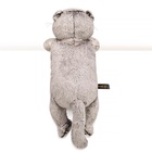 Мягкая игрушка «Кот Басик в очках», 27 см - фото 6644769