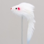 УЦЕНКА Игрушка для кошек «Загадочный круг - Рыбки», 23×7 см, микс цветов - Фото 3