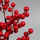 УЦЕНКА Светодиодный куст «Ягоды», 0.35 м, 30 LED, от батареек AAx3, свечение тёплое белое - Фото 3