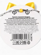 Леденец новогодний «На удачу», в форме подковы, 24 г (комплект 2 шт) - фото 58040010 Леденец новогодний «На удачу», в форме подковы, 24 г (комплект 2 шт) - фото 58040010