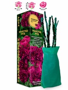 Саженец Роза Манстед Вуд Английская, 1 шт. Весна 2026  (артикул 10920738)  большой выбор товаров оптом и в розницу по низким ценам с доставкой