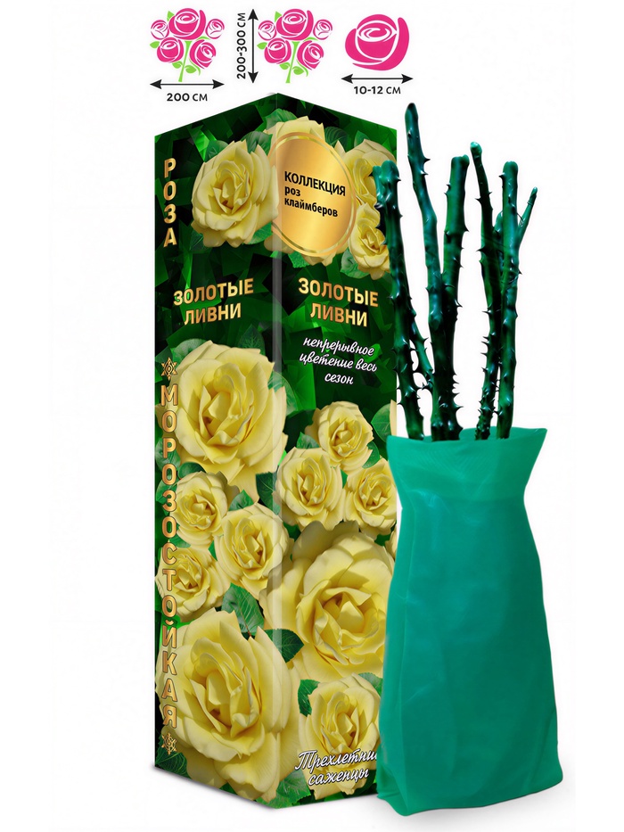 Саженец Роза клаймбер-плетистая «Золотые ливни», 1 шт., Весна 2026 - Фото 1