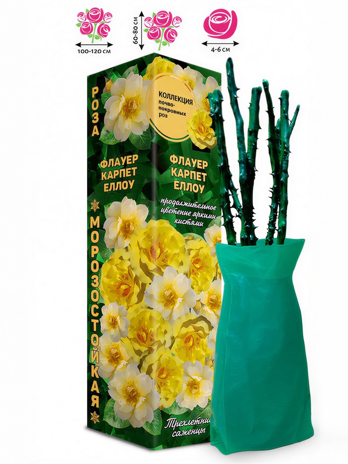 Саженец Роза почвопокровная «Флауер Карпет Еллоу», 1 шт., Весна 2026 - Фото 1