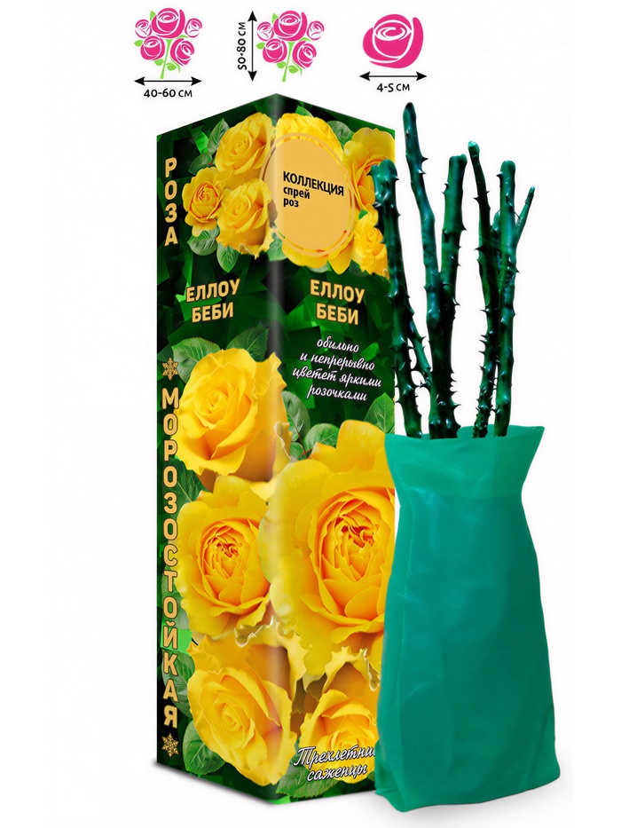 Саженец Роза спрей «Еллоу Беби», 1 шт., Весна 2026 - Фото 1