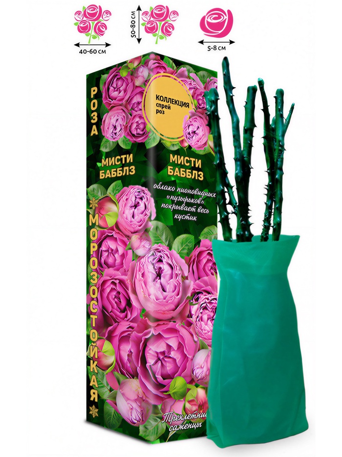 Саженец Роза Мисти Бабблз Спрей, 1 шт. Весна 2026 - Фото 1