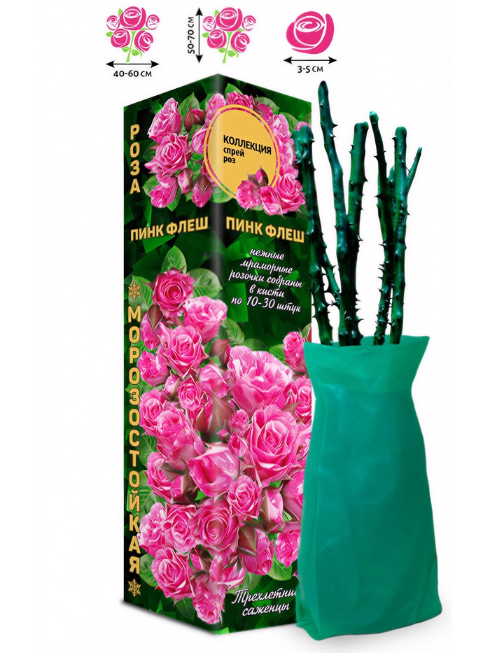 Саженец Роза Пинк Флеш Спрей, 1 шт. Весна 2026 - Фото 1