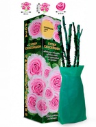 Саженец Роза Ред Сенсейшен Спрей, 1 шт. Весна 2026  (артикул 10920873)  большой выбор товаров оптом и в розницу по низким ценам с доставкой