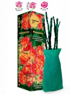 Саженец Роза Рубиэлла Спрей, 1 шт. Весна 2026  (артикул 10920874)  большой выбор товаров оптом и в розницу по низким ценам с доставкой