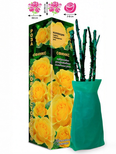 Саженец Роза Сфинкс Спрей, 1 шт. Весна 2026