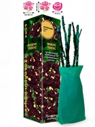 Саженец Роза Фокус Покус Спрей, 1 шт. Весна 2026  (артикул 10920881)  большой выбор товаров оптом и в розницу по низким ценам с доставкой