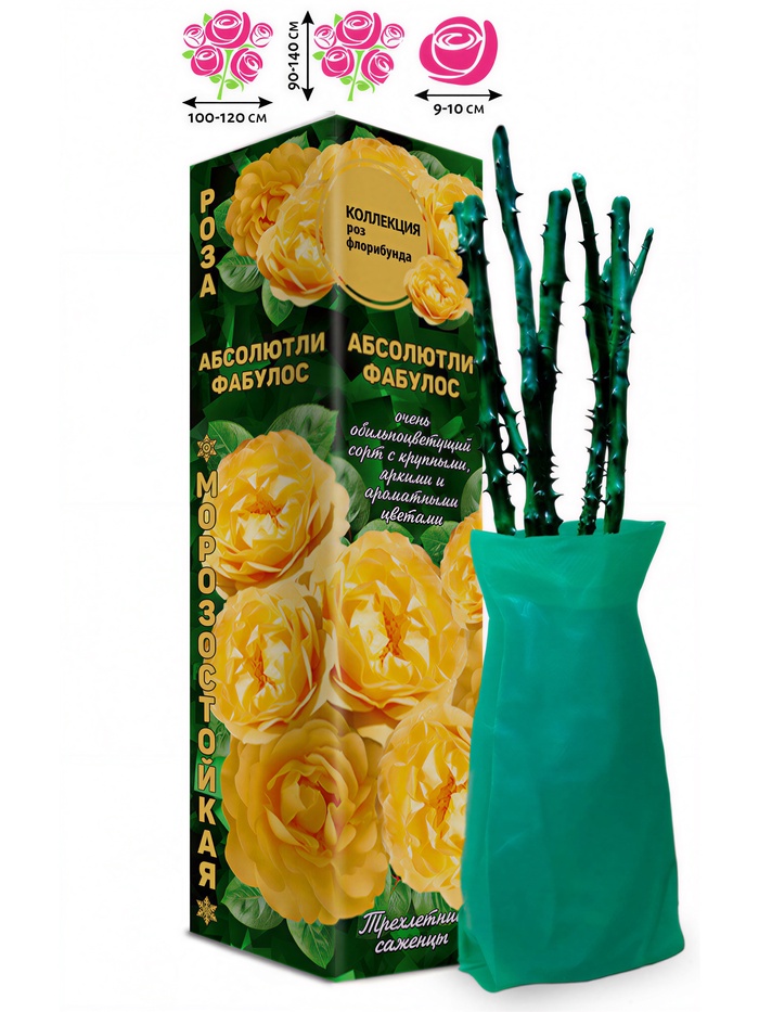 Саженец Роза флорибунда «Абсолютли Фабулос», 1 шт., Весна 2026 - Фото 1