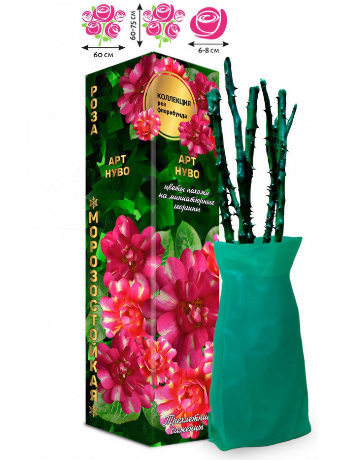 Саженец Роза флорибунда «Арт Нуво», 1 шт., Весна 2026 - Фото 1