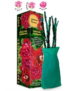 Саженец Роза Мистик Раффлз Флорибунда, 1 шт. Весна 2026  (артикул 10920921)  большой выбор товаров оптом и в розницу по низким ценам с доставкой