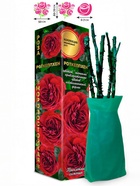 Саженец Роза Роткеппхен Флорибунда, 1 шт. Весна 2026  (артикул 10920936)  большой выбор товаров оптом и в розницу по низким ценам с доставкой