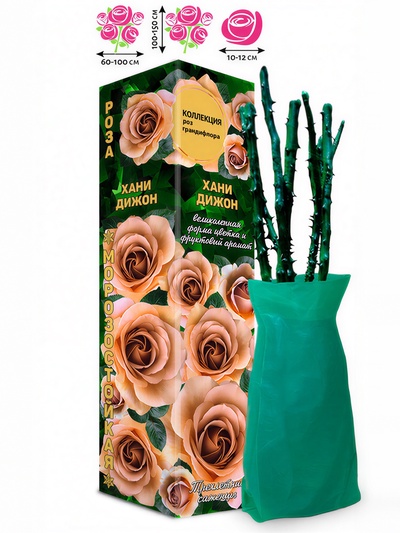 Саженец Роза Хани Дижон Грандифлора, 1 шт. Весна 2026