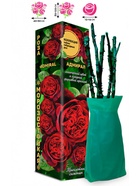 Саженец Роза Адмирал Чайно-гибридная 1 шт. Весна 2026  (артикул 10920957)  большой выбор товаров оптом и в розницу по низким ценам с доставкой