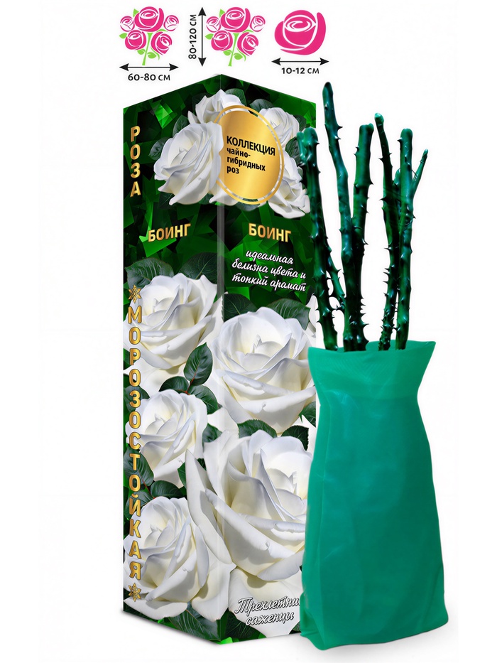 Саженец Роза Боинг Чайно-гибридная, 1 шт. Весна 2026 - Фото 1