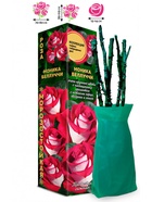 Саженец Роза Моника Беллуччи Чайно-гибридная, 1 шт. Весна 2026  (артикул 10921036)  большой выбор товаров оптом и в розницу по низким ценам с доставкой