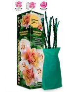 Саженец Роза Мэджик Момент Чайно-гибридная, 1 шт. Весна 2026  (артикул 10921037)  большой выбор товаров оптом и в розницу по низким ценам с доставкой