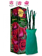 Саженец Роза Норита Чайно-гибридная, 1 шт. Весна 2026  (артикул 10921041)  большой выбор товаров оптом и в розницу по низким ценам с доставкой