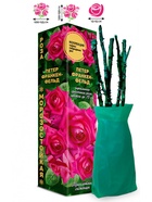 Саженец Роза Петер Франкенфельд Чайно-гибридная, 1 шт. Весна 2026  (артикул 10921046)  большой выбор товаров оптом и в розницу по низким ценам с доставкой