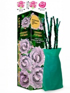 Саженец Роза Секрет Гарден Чайно-гибридная, 1 шт. Весна 2026  (артикул 10921063)  большой выбор товаров оптом и в розницу по низким ценам с доставкой