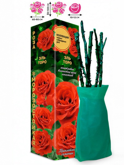 Саженец Роза чайно-гибридная «Эль Торо», 1 шт., Весна 2026