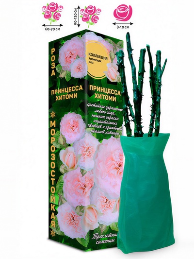 Саженец Роза Принцесса Хитоми Японская-Чайно-гибридная, 1 шт. Весна 2026