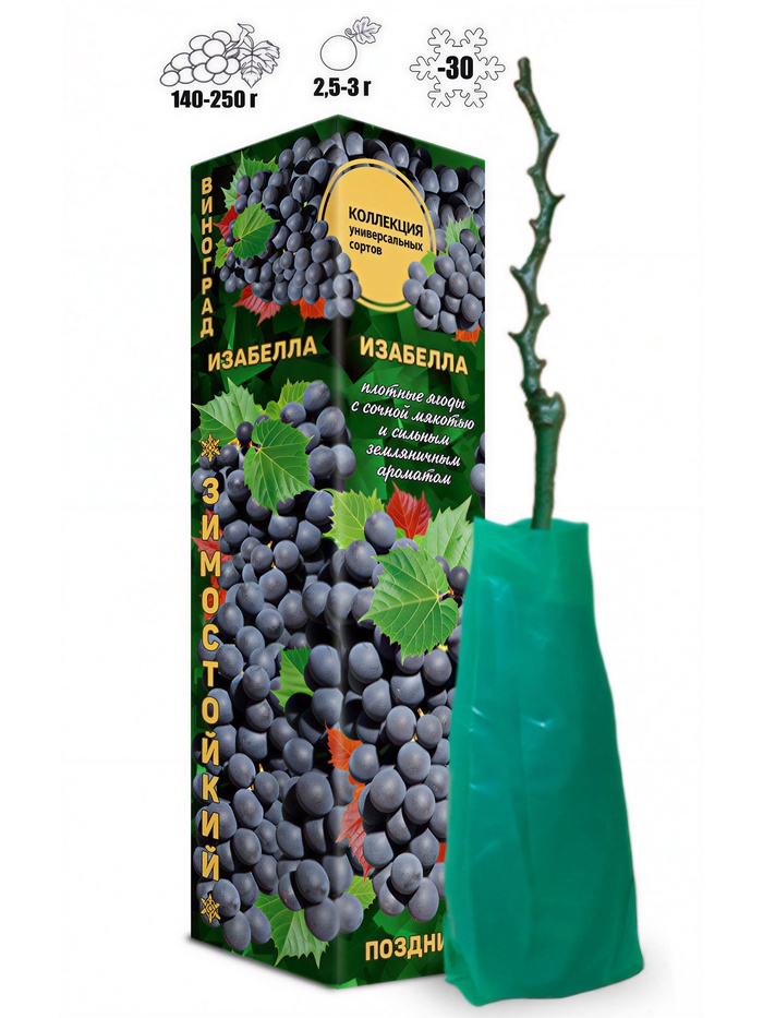 Саженец Виноград «Изабелла», фиолетовый, поздний, 1 шт., Весна 2026