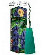 Саженец Виноград «Рэмбо», тёмно-фиолетовый, ранний, 1 шт., Весна 2026 10921165 - фото 8106278