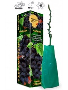 Саженец Виноград «Фараон», тёмно-фиолетовый, ранний, 1 шт., Весна 2026 10921171 - фото 8106281