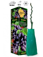 Саженец Виноград Эталон 1 шт. Весна 2026  (артикул 10921176)  большой выбор товаров оптом и в розницу по низким ценам с доставкой