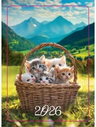 Календарь 2026 карманный «Котята» (комплект 20 шт) - фото 52746630