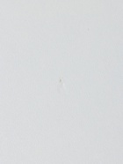 УЦЕНКА Шкаф двухстворчатый Мадера с 2 ящиками, 900х500х2100, Белый 10927148