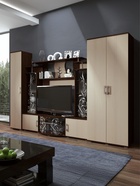 Шкаф двухстворчатый Виста, 800х470х2120, Дуб беленый/Венге - фото 14896348