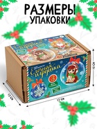 Набор для творчества новогодний «Ёлочная игрушка. Лошадка», шары 3 шт., фигурки под роспись - Фото 2