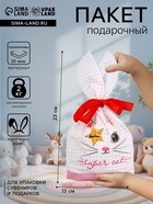 Пакет полиэтиленовый подарочный с ушками «Котенок», 13×23 см - Фото 1