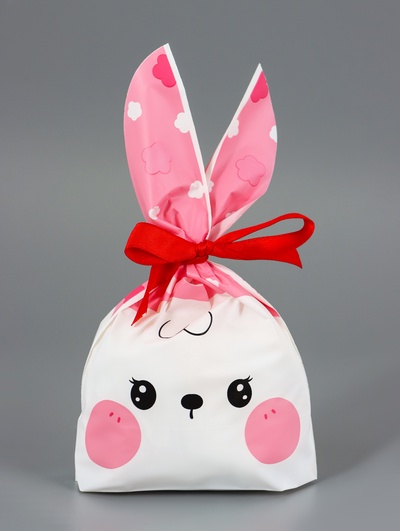 Пакет полиэтиленовый подарочный с ушками «Морской котик», 13×23 см