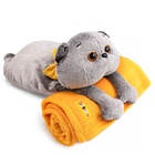 Мягкая игрушка «Кот Басик» с пледом, 60 см - фото 117153197