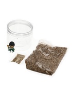 ЭВРИКИ Набор для опытов "Волшебные опыты", адвент-календарь 10867301