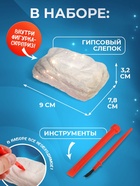 Раскопки «Новогодняя лошадка», набор: гипсовый слепок, долото, кисточка - фото 60866459