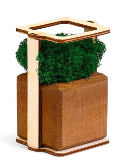 Кашпо - композиция «Бриовуд», 10×6×6 см, деревянное, со стабилизированным мхом