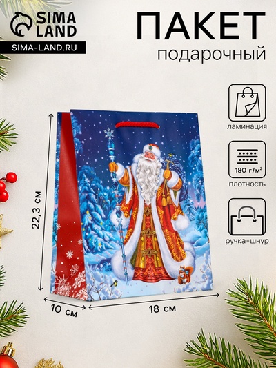 Пакет подарочный новогодний ламинированный, «Новогодний набор », 18×10×22.3 см