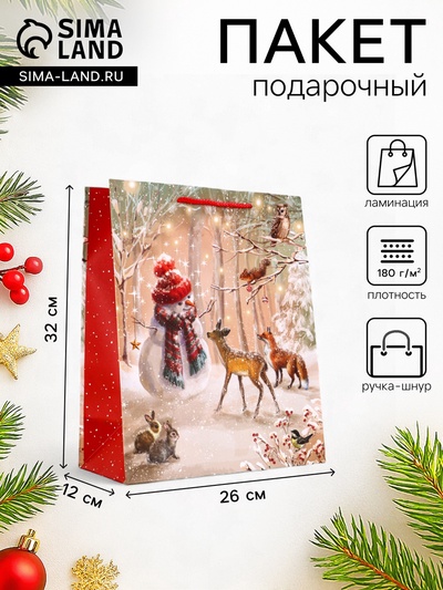Пакет подарочный новогодний ламинированный, «Новогодняя ночь», 26×12×32 см