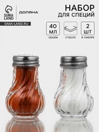 Набор для специй Доляна, «Изгиб граней», солонка, перечница 40 мл, стекло, прозрачный - Фото 1