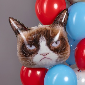 Воздушный шар фольгированный 26" «Сердитая кошка» (комплект 5 шт)