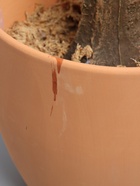 УЦЕНКА Дерево искусственное «Ива» в горшке, 150 см 10927987