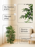 УЦЕНКА Дерево искусственное «Бамбук тропический» 180 см - Фото 2