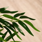 УЦЕНКА Дерево искусственное «Бамбук тропический» 180 см - Фото 4