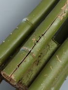 УЦЕНКА Дерево искусственное «Бамбук тропический» 180 см - Фото 7